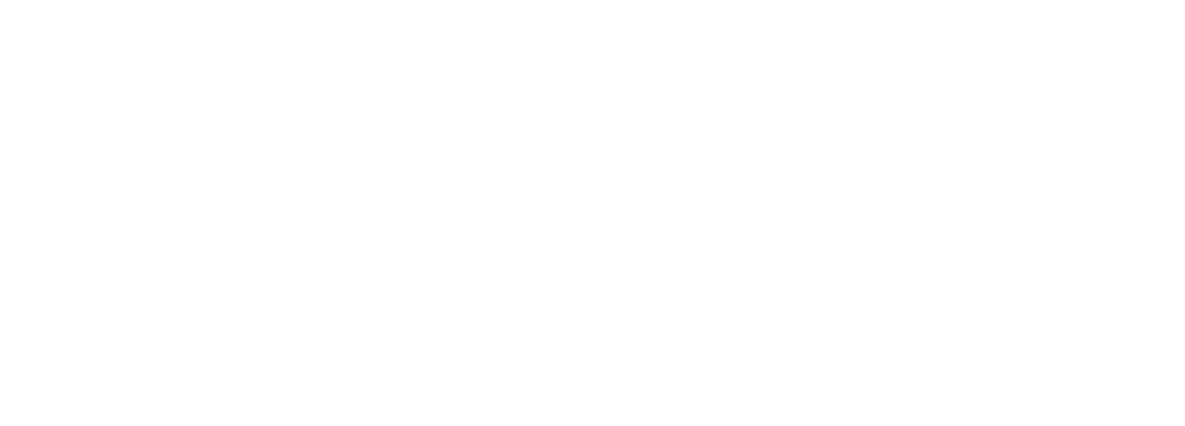 Filecoin Foundation for the Decentralized Web Logo