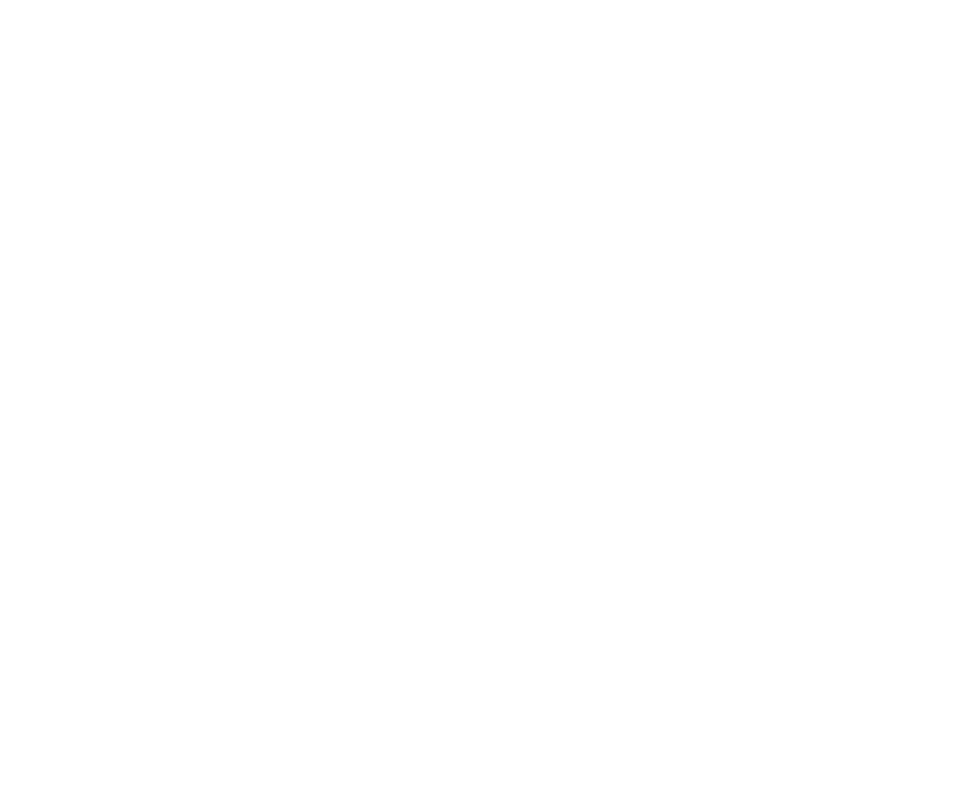 FoxWallet Logo