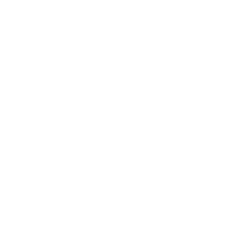SEAL Logo