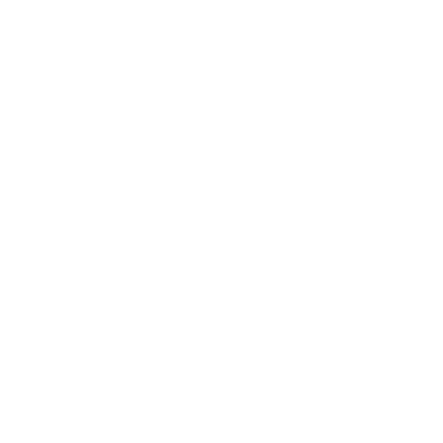 Filecoin Foundation Logo